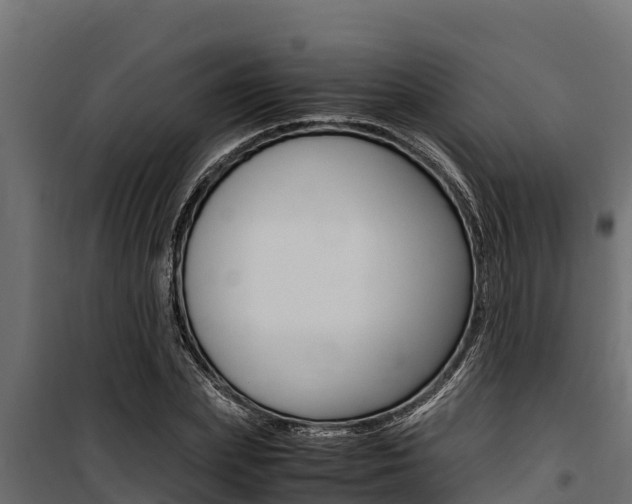 X0000100770831200806190931