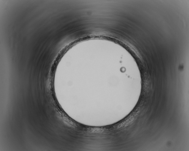 X0000100770832200806190931