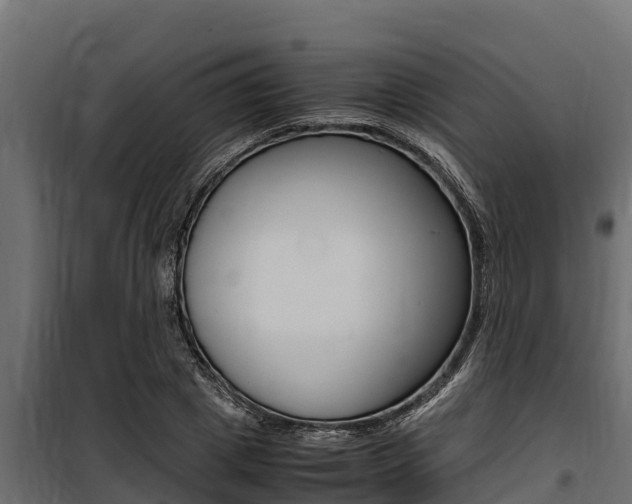X0000100770833200806190931