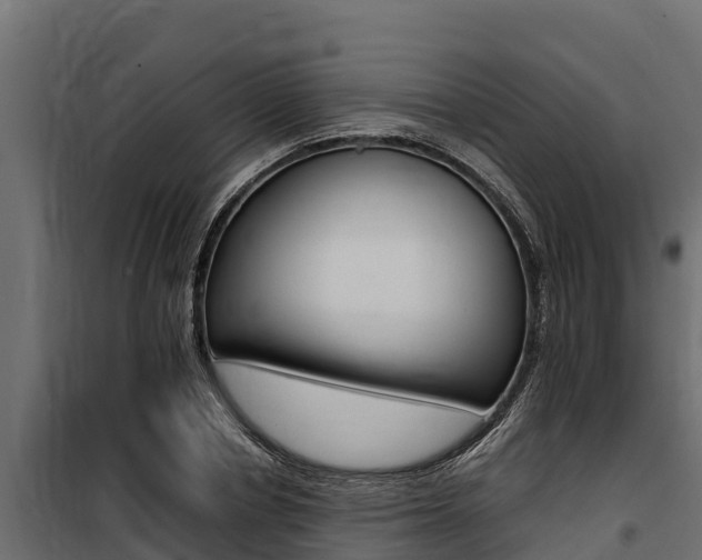 X0000100770834200806190931