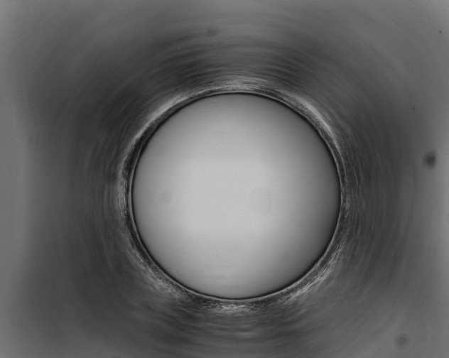 X0000100770835200806190931
