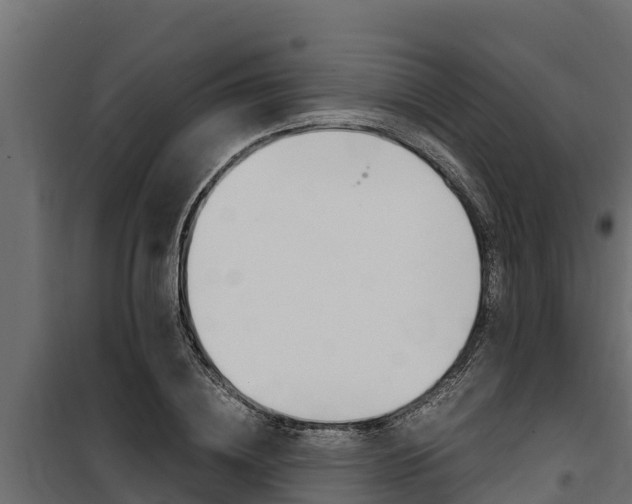 X0000100770836200806190931