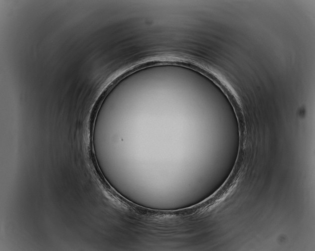 X0000100770837200806190931