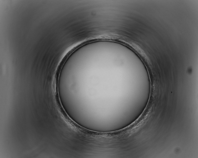 X0000100770838200806190931