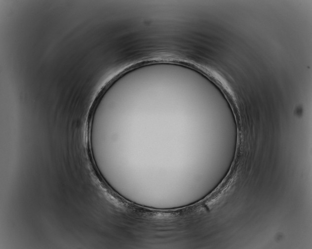 X0000100770839200806190931