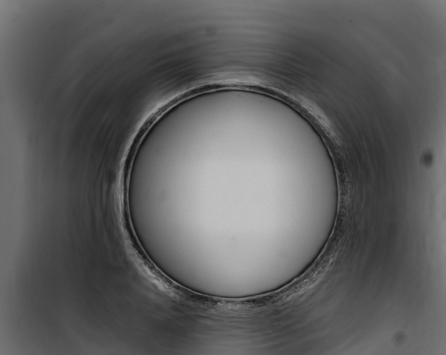 X0000100770840200806190931