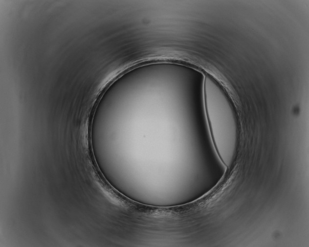X0000100770842200806190931