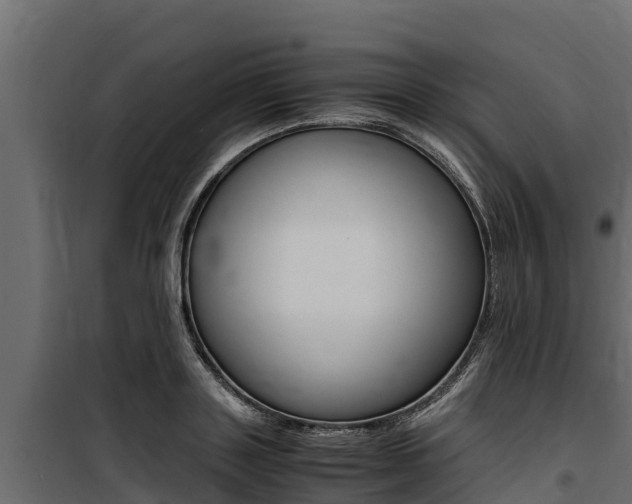 X0000100770843200806190931