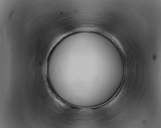 X0000100770844200806190931