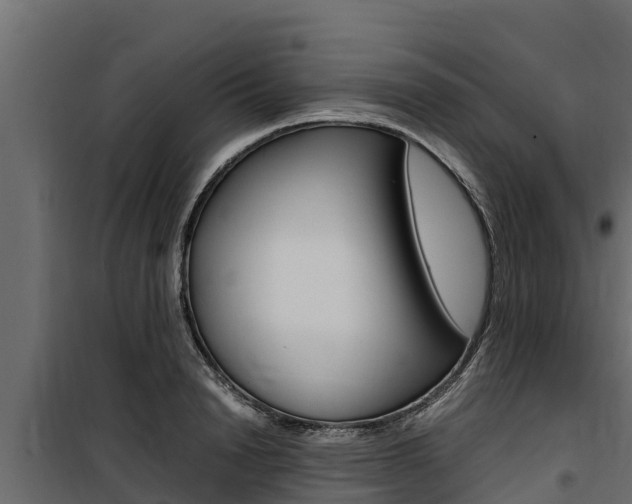 X0000100770846200806190931