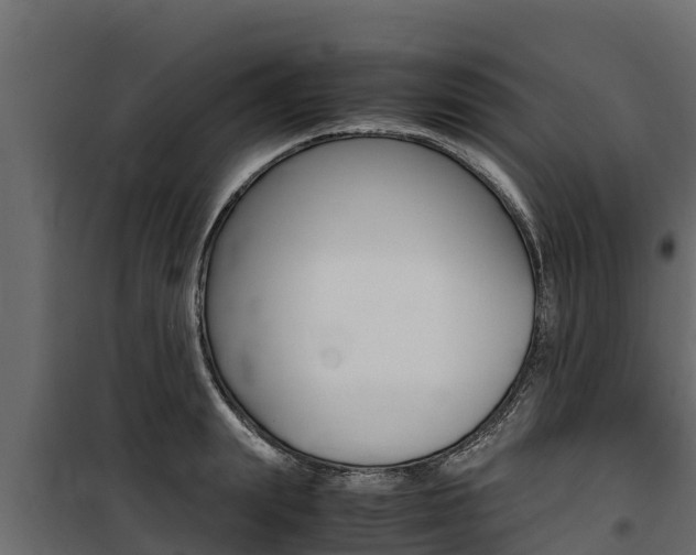 X0000100770847200806190931