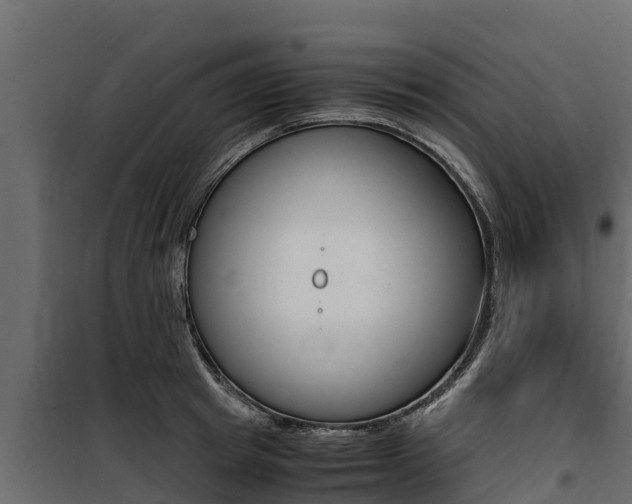 X0000100770849200806190931