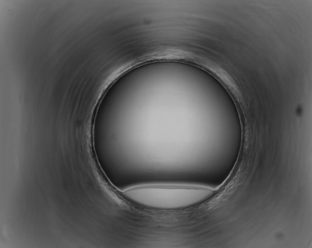 X0000100770850200806190931