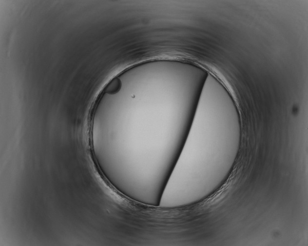 X0000100770851200806190931