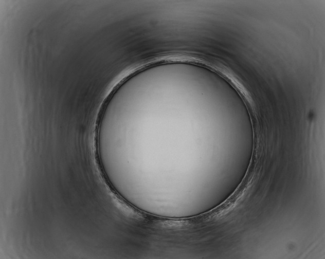X0000100770853200806190931