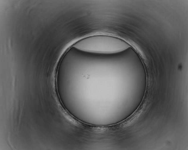 X0000100770854200806190931