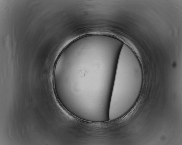 X0000100770855200806190931