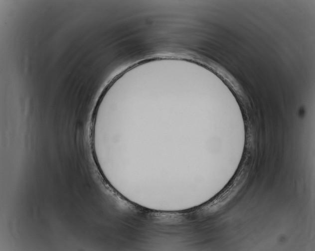X0000100770856200806190931