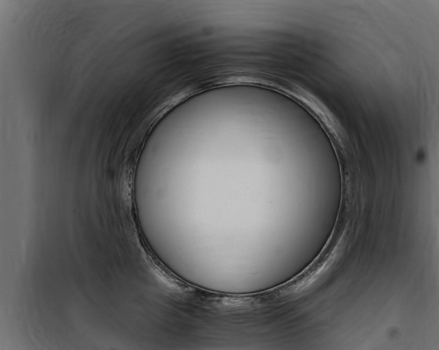 X0000100770857200806190931