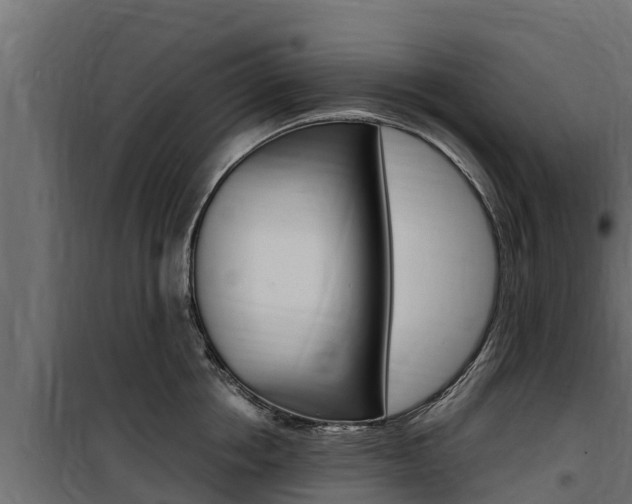 X0000100770858200806190931