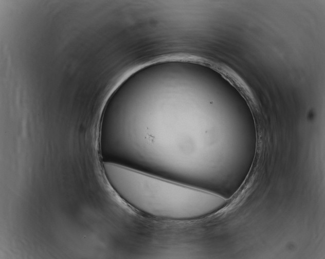 X0000100770860200806190931