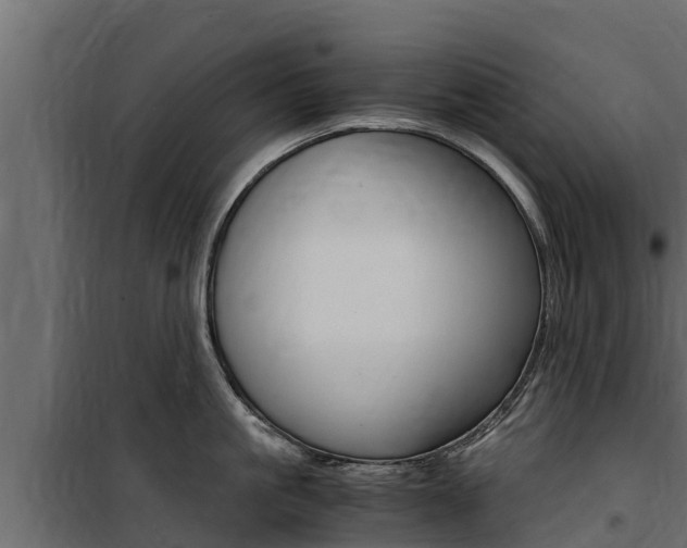 X0000100770861200806190931