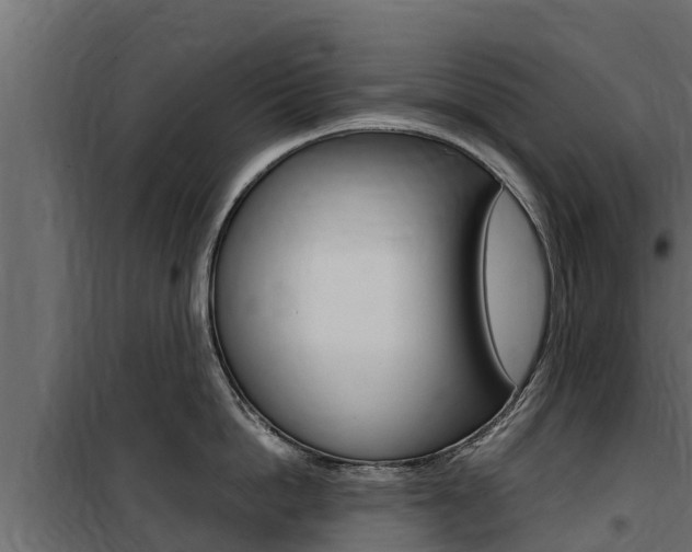 X0000100770862200806190931