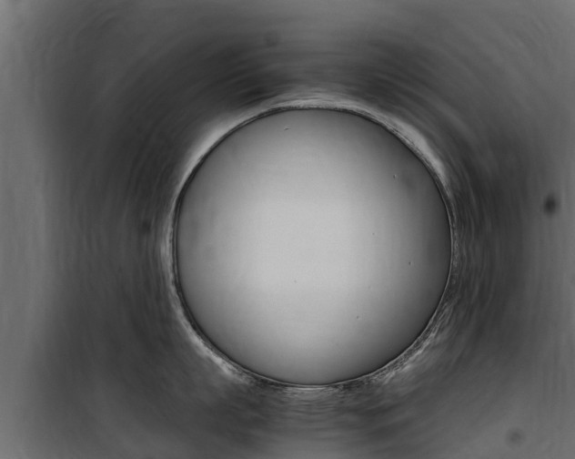 X0000100770863200806190931