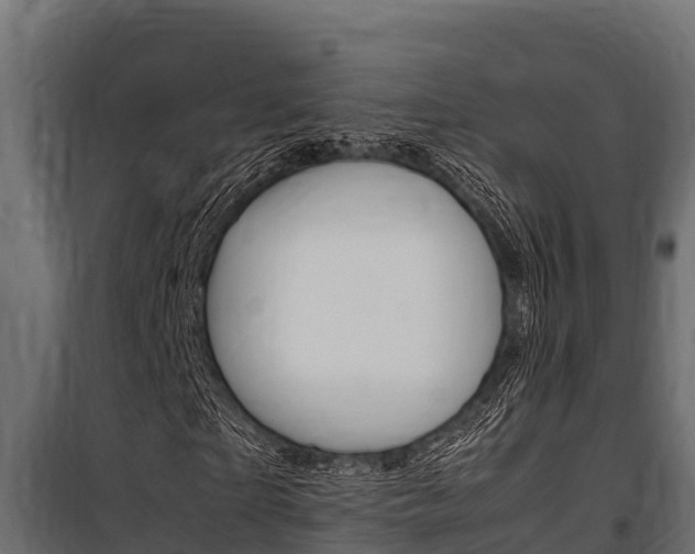 X0000100770865200806190930