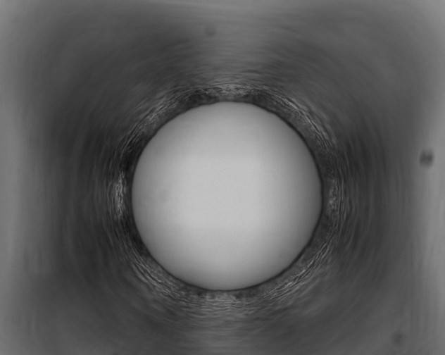 X0000100770866200806190930