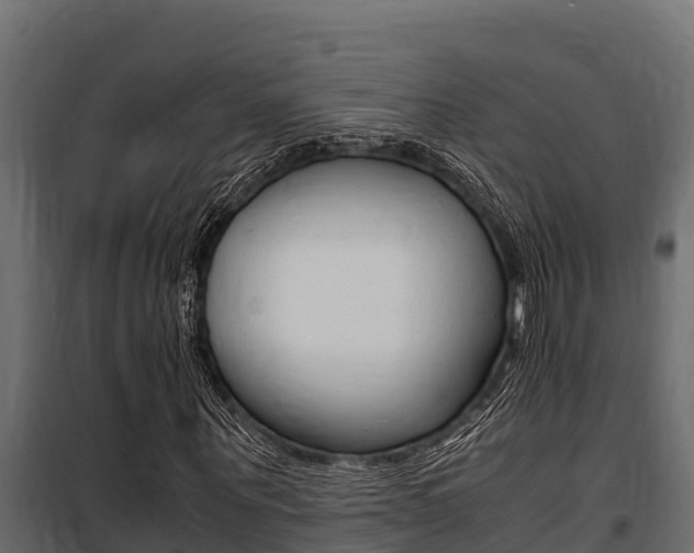 X0000100770867200806190930