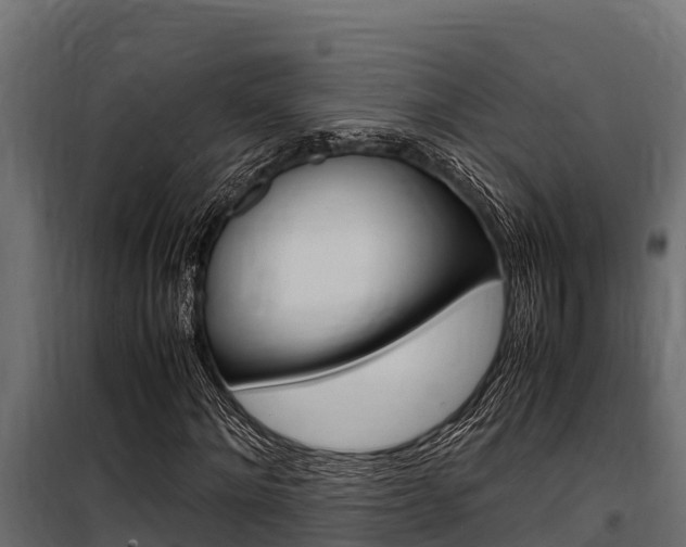 X0000100770868200806190930