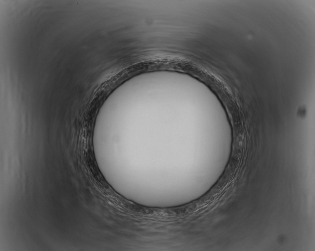 X0000100770869200806190930