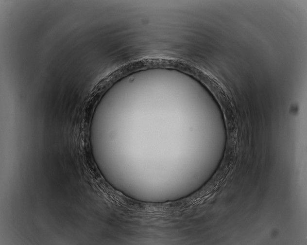 X0000100770870200806190930