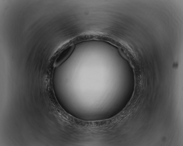 X0000100770872200806190930