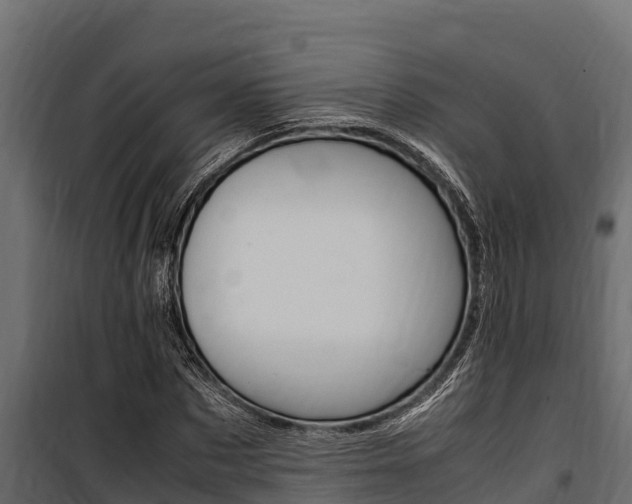 X0000100770873200806190930