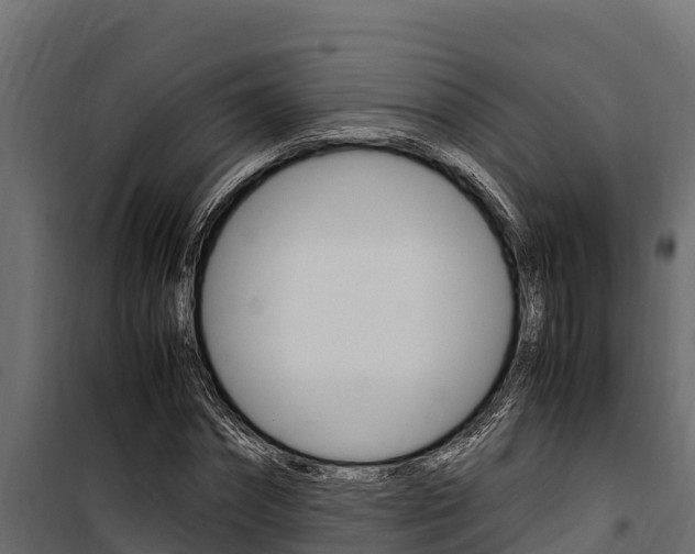 X0000100770874200806190930