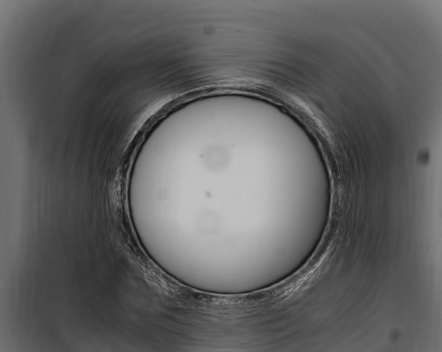 X0000100770875200806190930