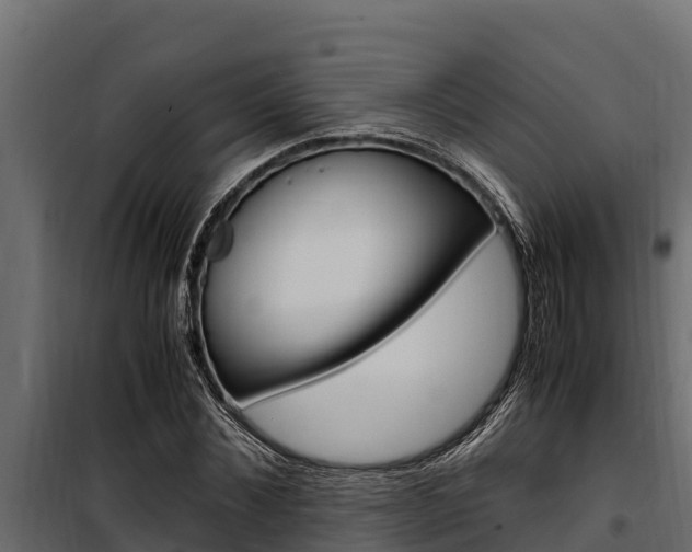 X0000100770876200806190930