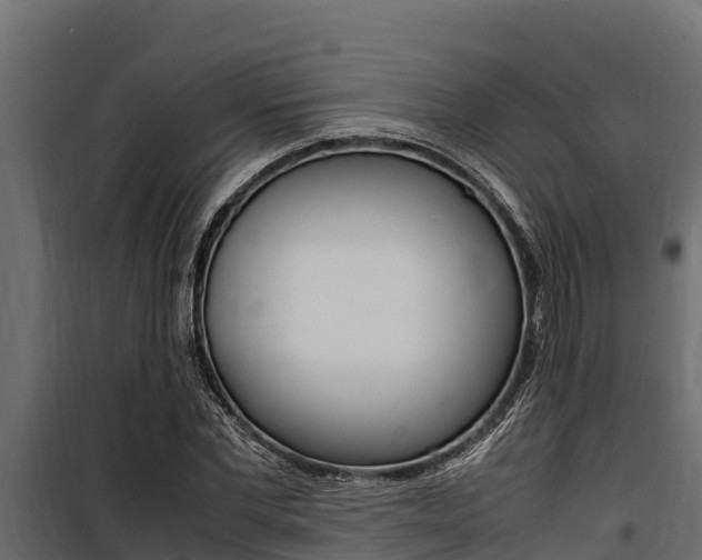 X0000100770877200806190930