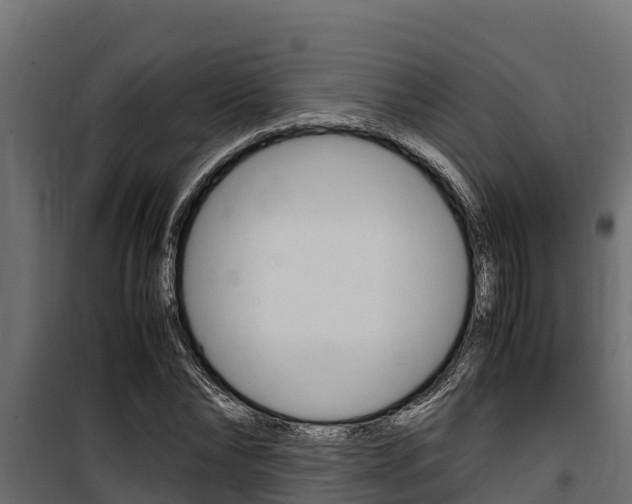 X0000100770878200806190930