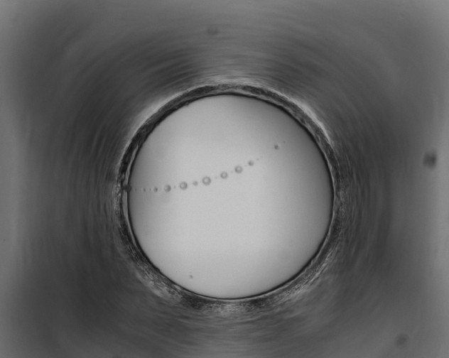 X0000100770879200806190930