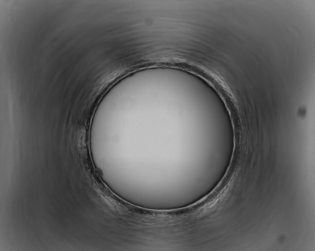 X0000100770881200806190930