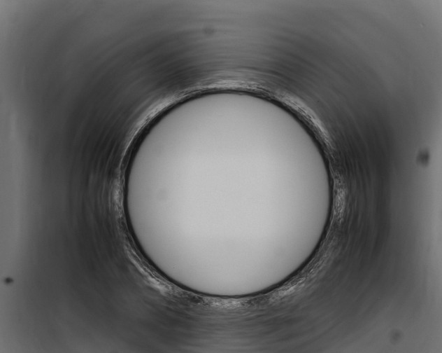 X0000100770882200806190930