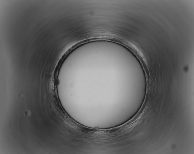 X0000100770883200806190930