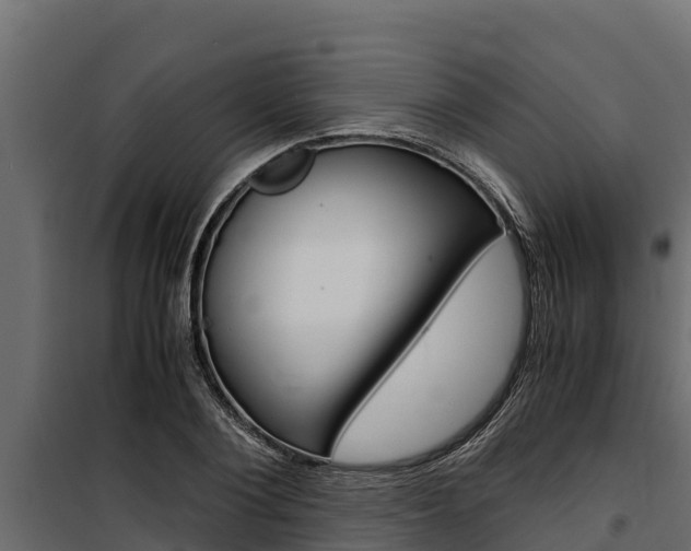 X0000100770884200806190930