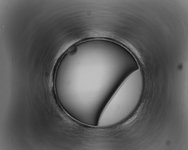 X0000100770885200806190930