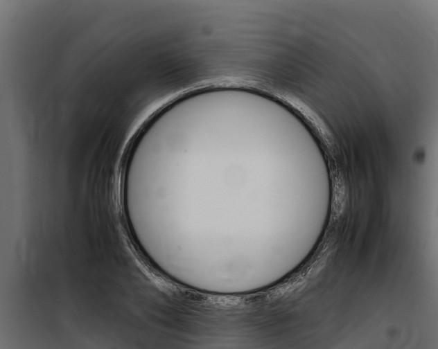 X0000100770886200806190930
