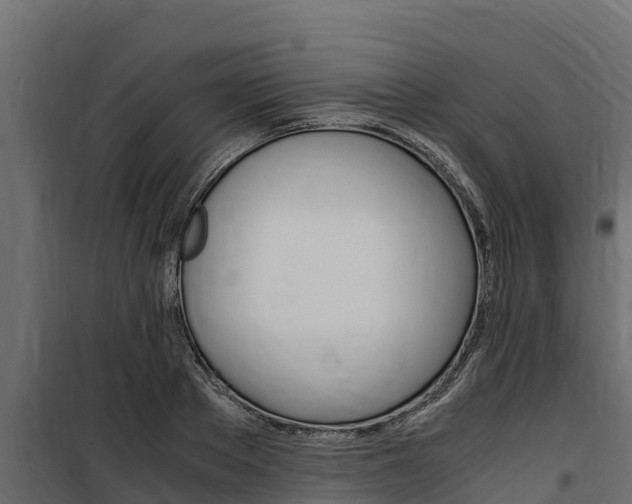 X0000100770889200806190930