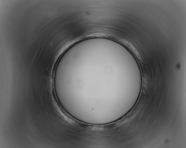 X0000100770890200806190930